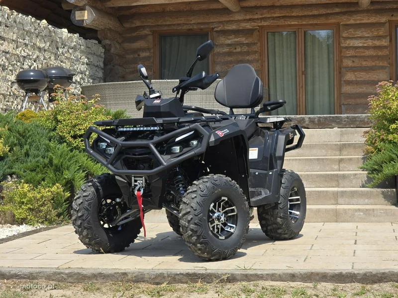 Diabolini Inny 13