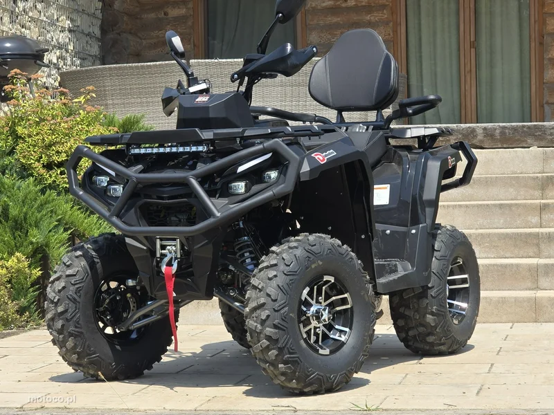 Diabolini Inny 14