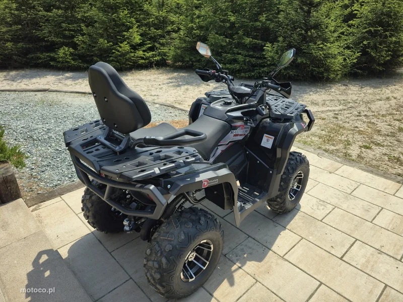 Diabolini Inny 15