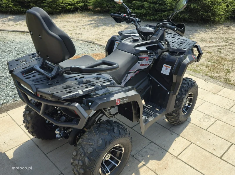 Diabolini Inny 16
