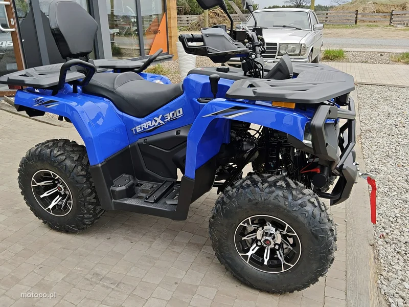 Diabolini Inny 15