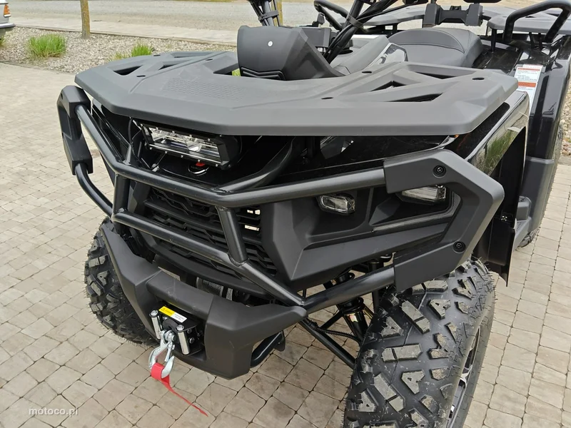Diabolini Inny 17