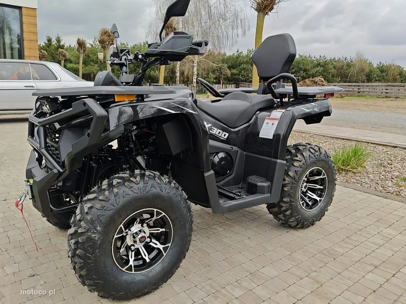 Diabolini Inny 3
