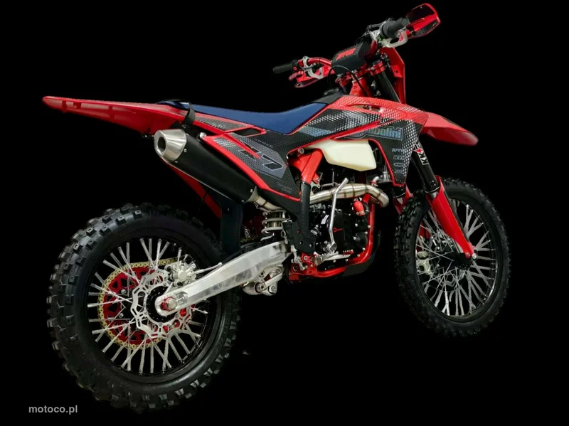 Diabolini Inny 19