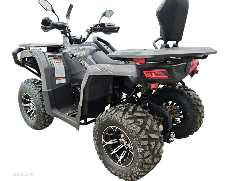 Diabolini Inny 10