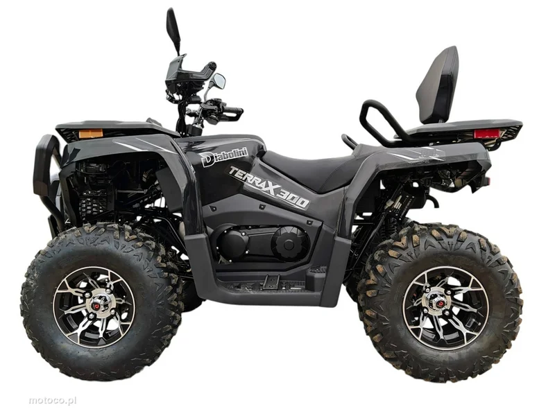 Diabolini Inny 24