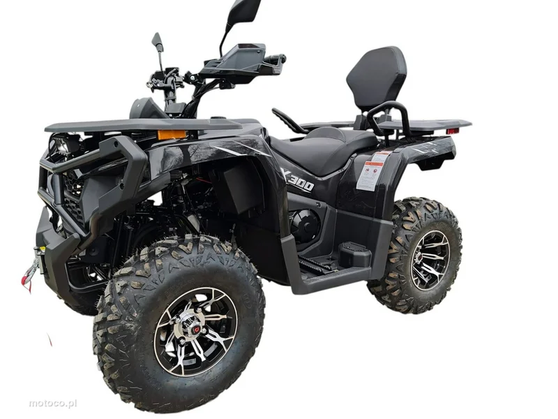 Diabolini Inny 25