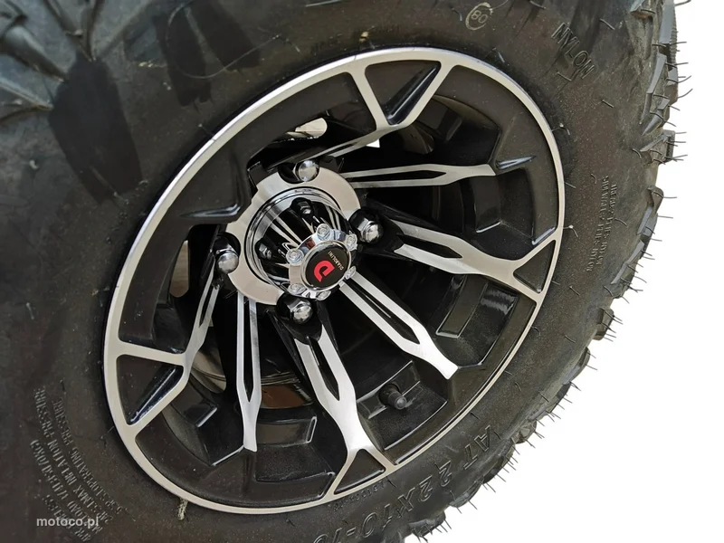 Diabolini Inny 35