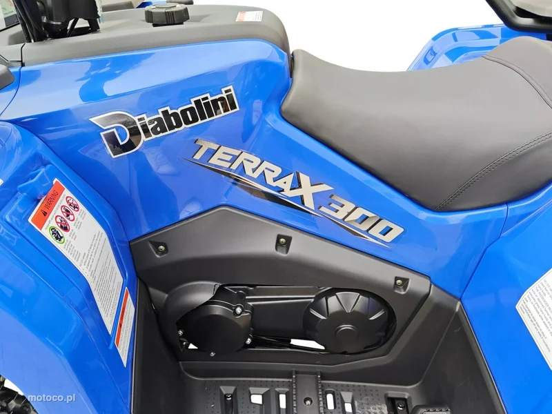 Diabolini Inny 36