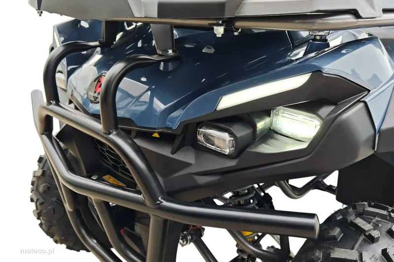 Diabolini Inny 15