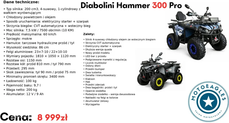 Diabolini Inny 21
