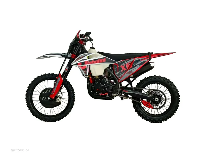 Diabolini Inny 6
