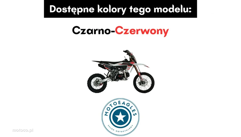 Diabolini Other 10