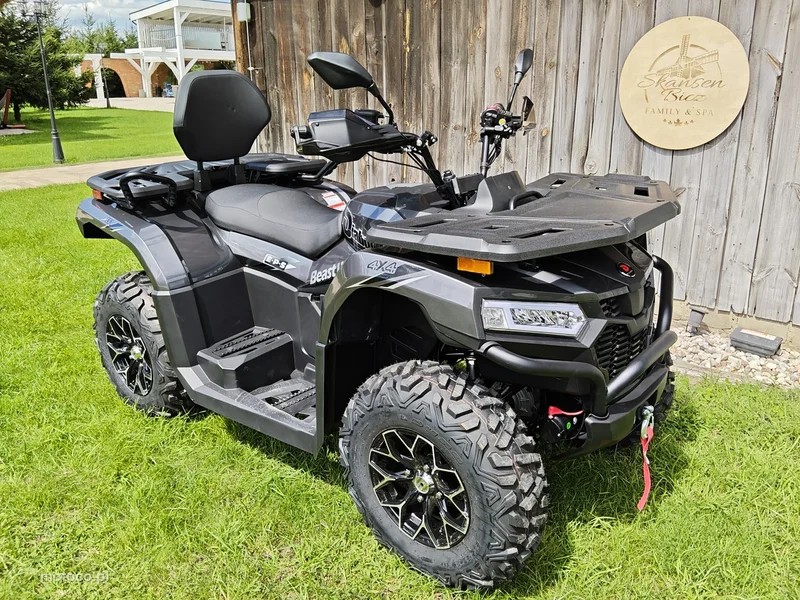 Diabolini Other 23