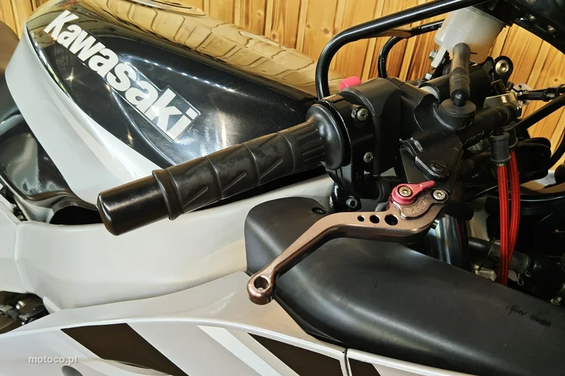 Kawasaki Ninja 5