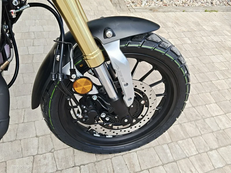 Daytona Rockstar 10