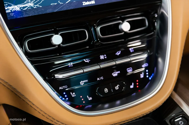 Aston Martin DBX 31