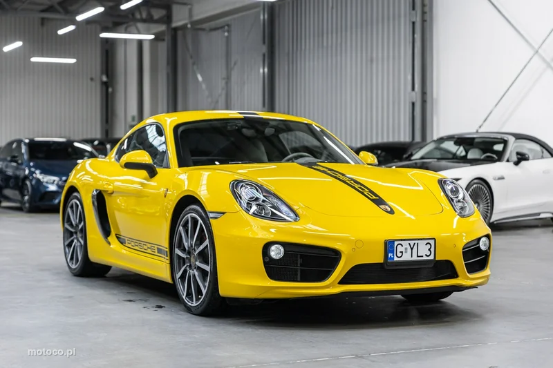 Porsche Cayman 981c 4