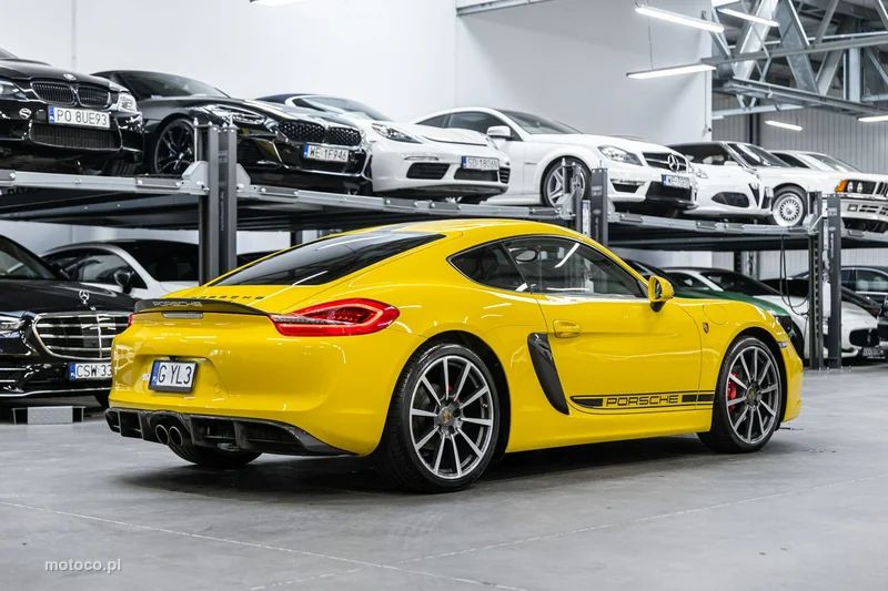 Porsche Cayman 981c 8