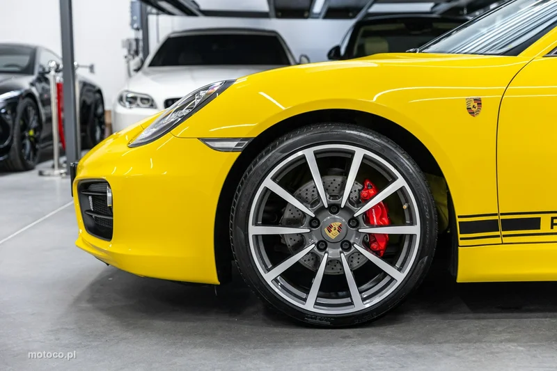Porsche Cayman 981c 15