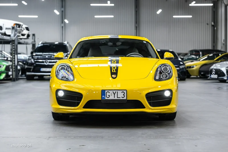 Porsche Cayman 981c 3