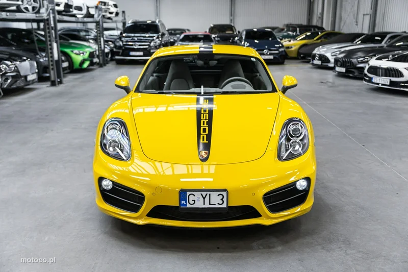 Porsche Cayman 981c 44