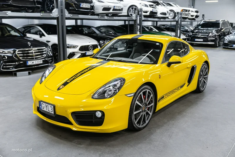 Porsche Cayman 981c 45