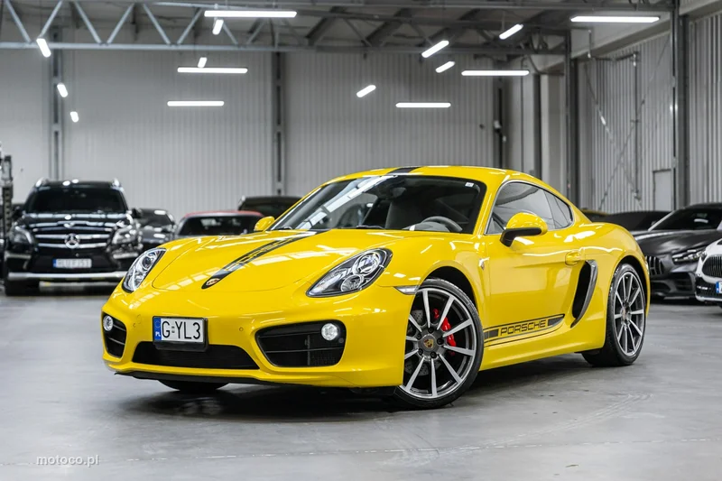 Porsche Cayman 981c 46