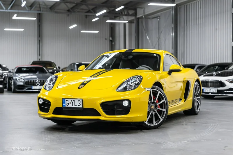 Porsche Cayman 981c 47