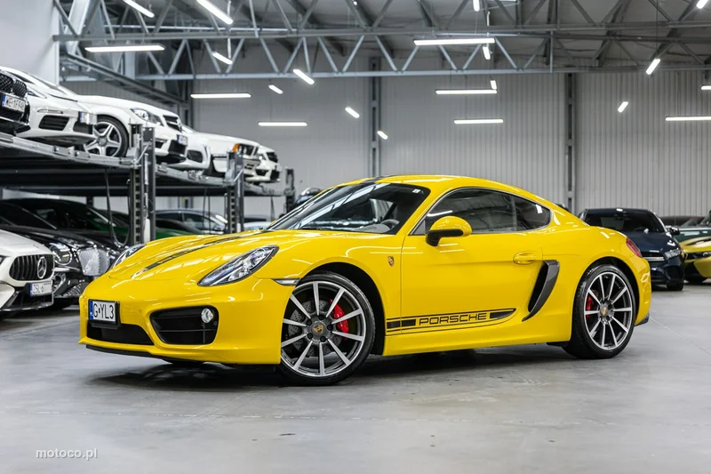 Porsche Cayman 981c 48