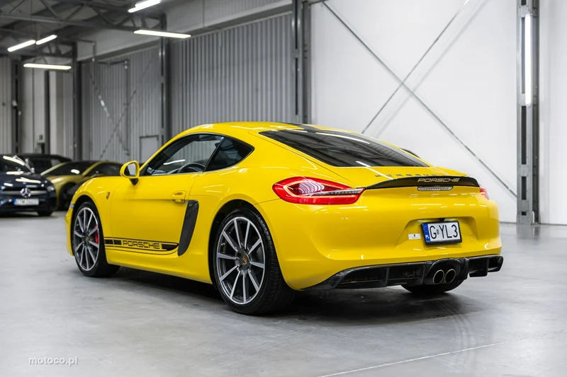 Porsche Cayman 981c 49
