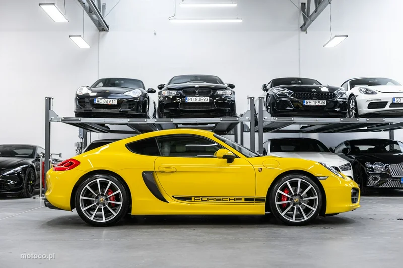 Porsche Cayman 981c 7