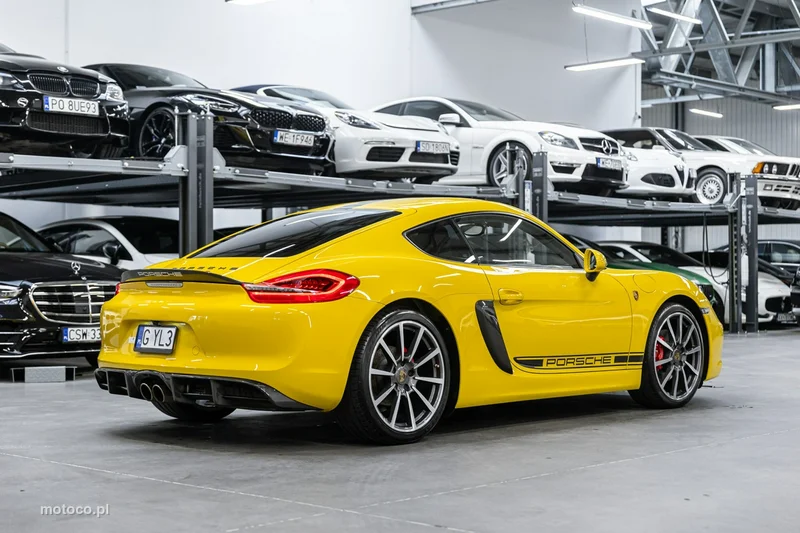 Porsche Cayman 981c 8