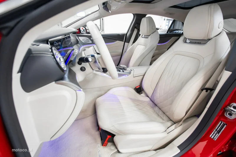 Mercedes-Benz AMG GT X290 4-Door 19