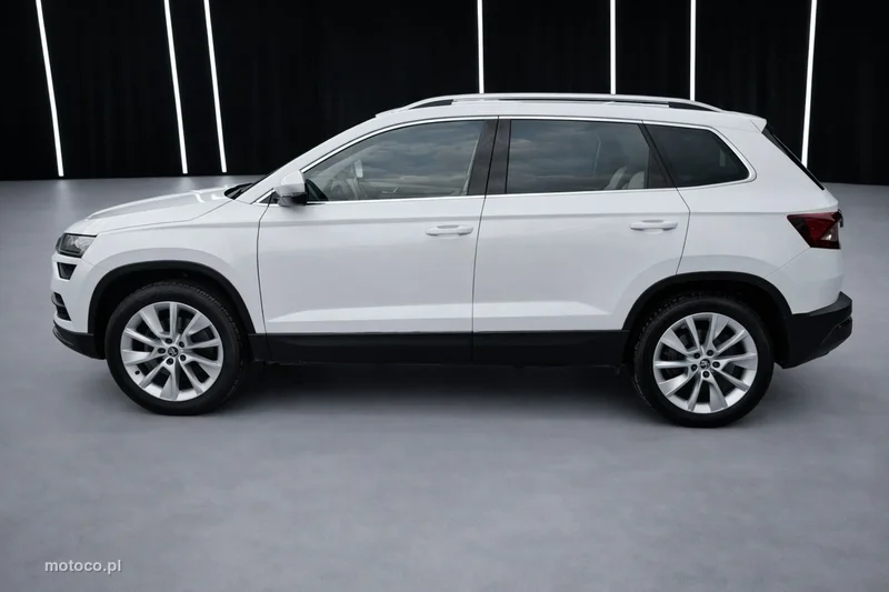 Skoda Karoq I 4