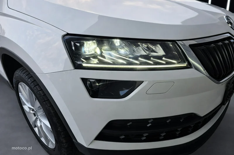 Skoda Karoq I 8