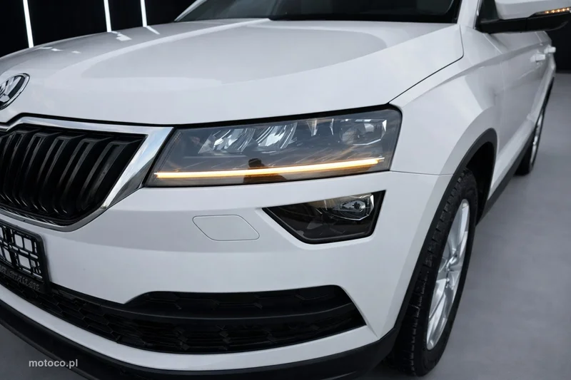 Skoda Karoq I 9