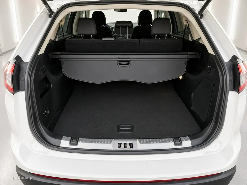 Ford Edge 14