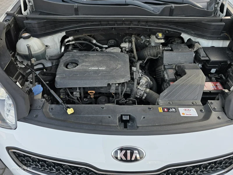 Kia Sportage 18