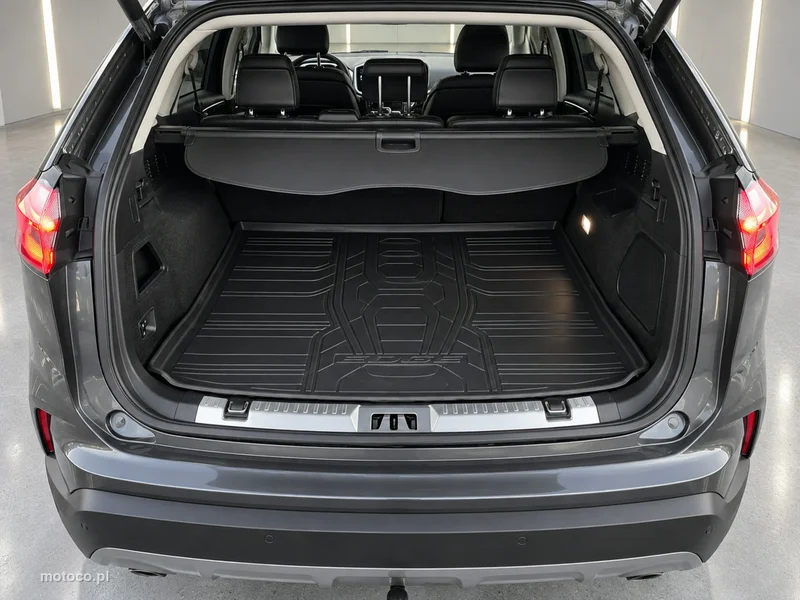 Ford Edge 20