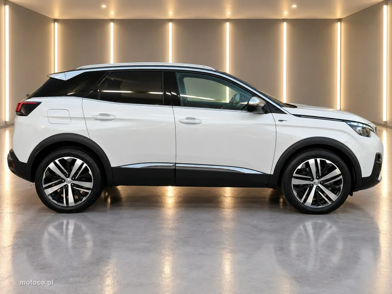 Peugeot 3008 4