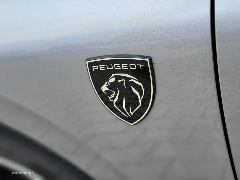 Peugeot 308 26