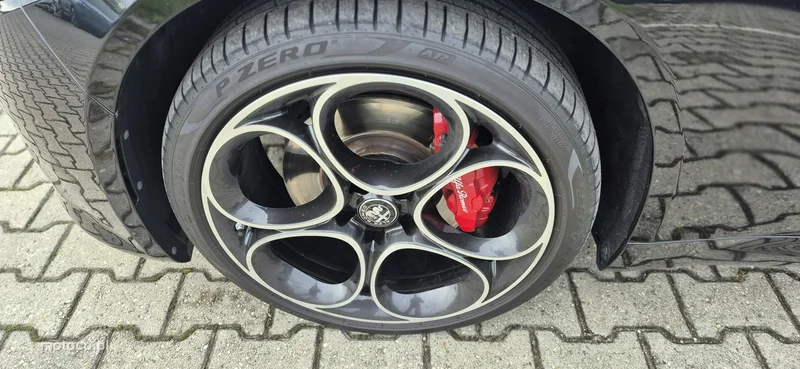 Alfa Romeo Giulia 31