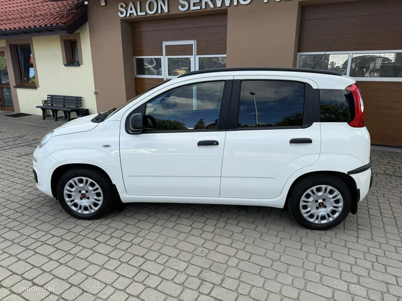 Fiat Panda 11