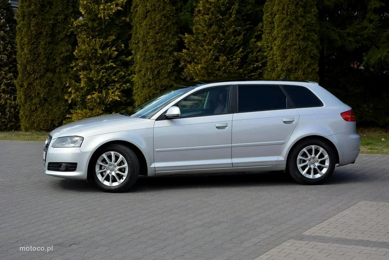 Audi A3 8P 11