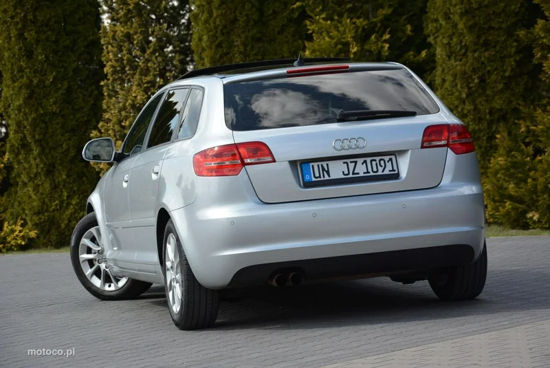 Audi A3 8P 14