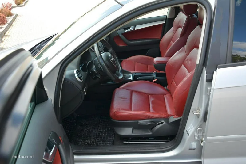 Audi A3 8P 15