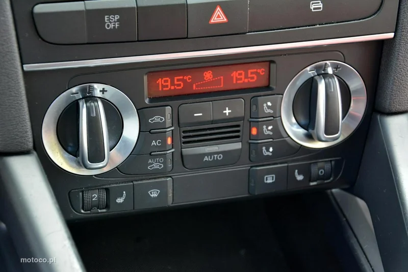 Audi A3 8P 29