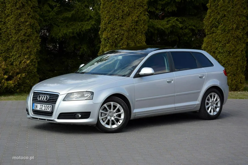 Audi A3 8P 10