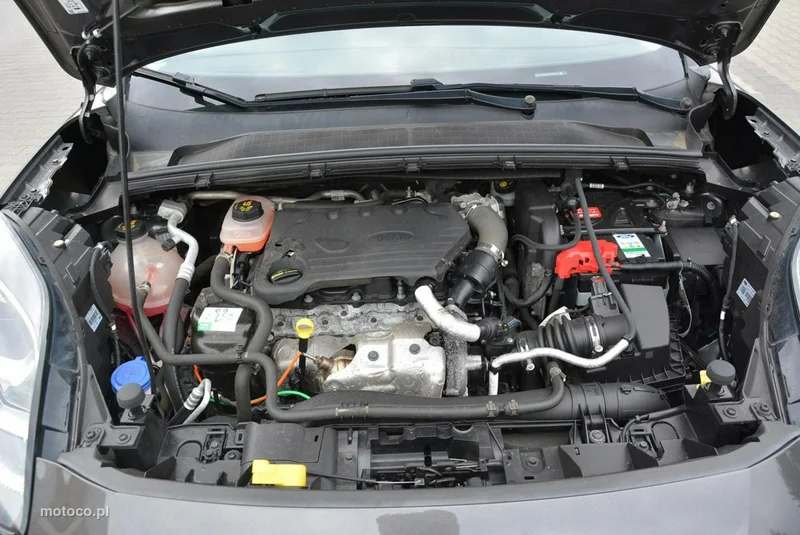 Ford Puma II 38